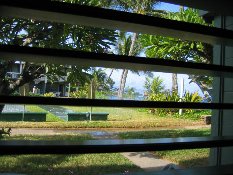 Honeymoon0278