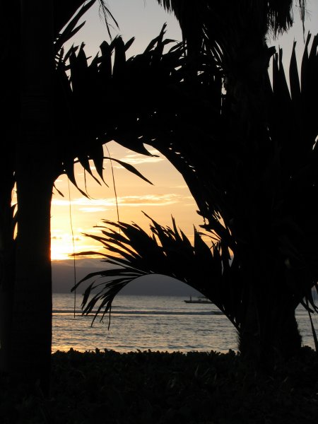 Honeymoon0292