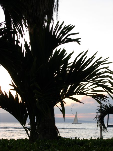Honeymoon0294