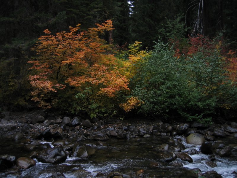 Fall 2003 Camping0111