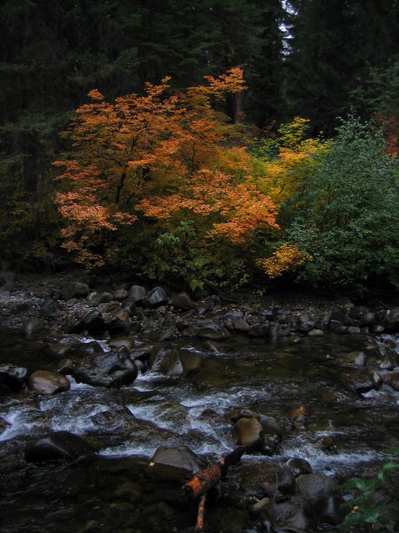 Fall 2003 Camping0112
