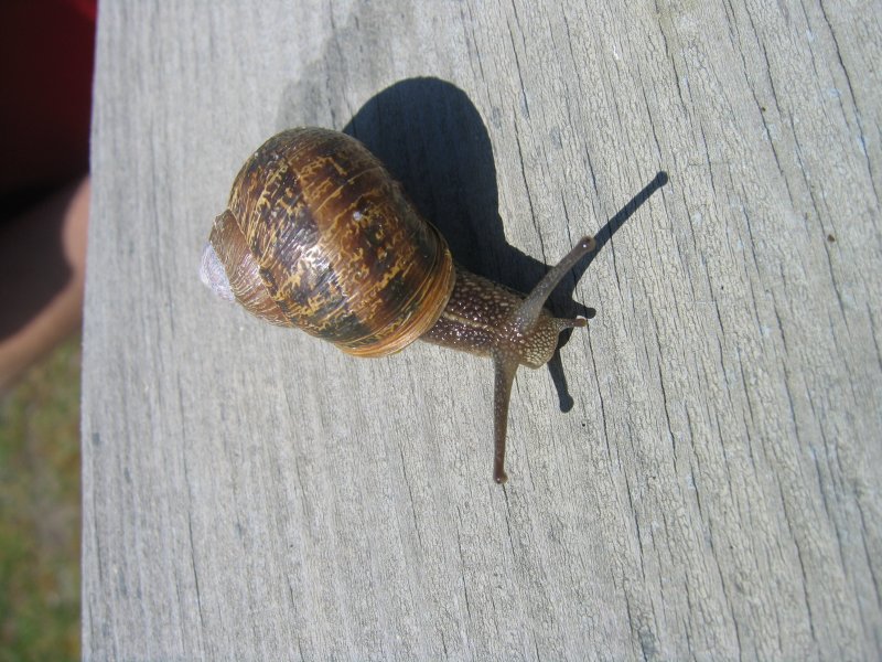 Klipsan Beach 4.2004 0122