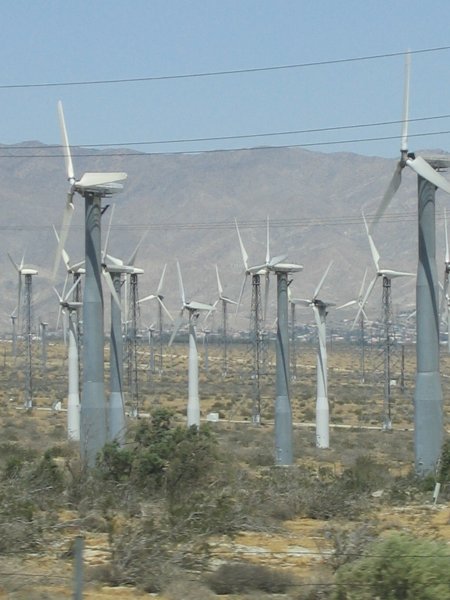 Coachella 2004 0283