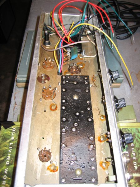 1979 Fender Champ 0053