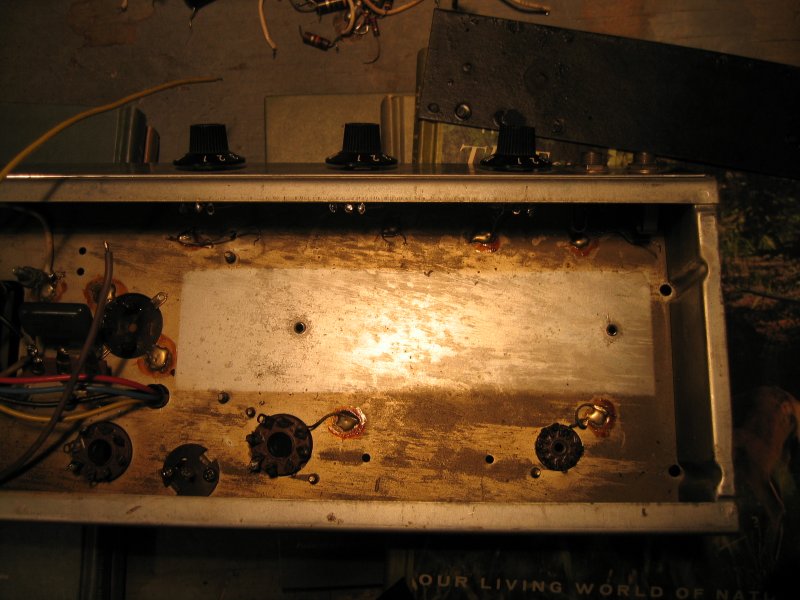 1979 Fender Champ 0059