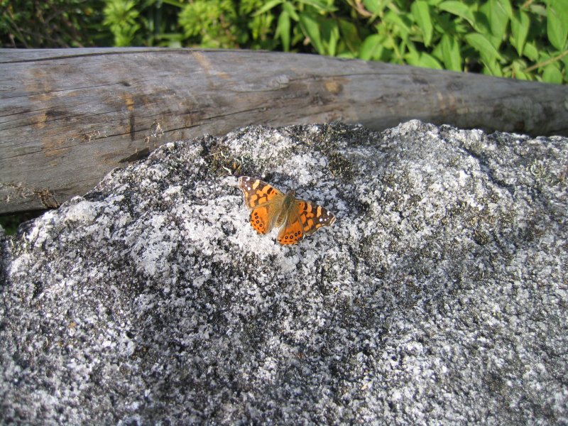 Peru 2005 0200