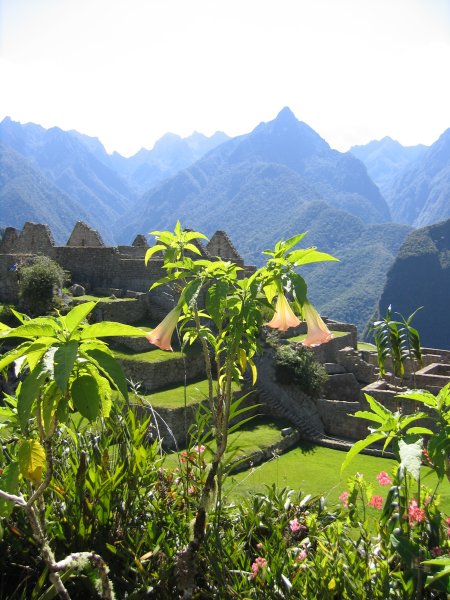 Peru 2005 0269