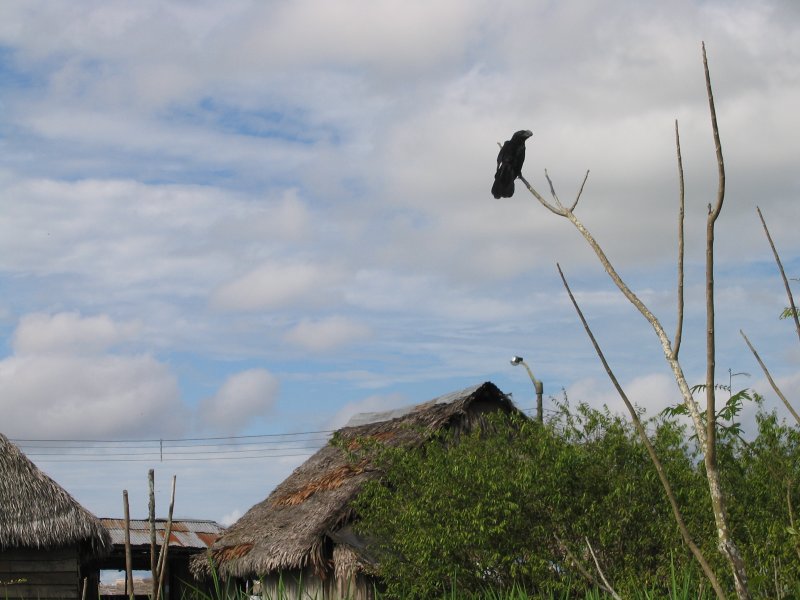 Peru 2005 0334