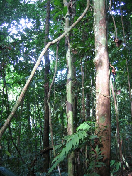 Peru 2005 0359