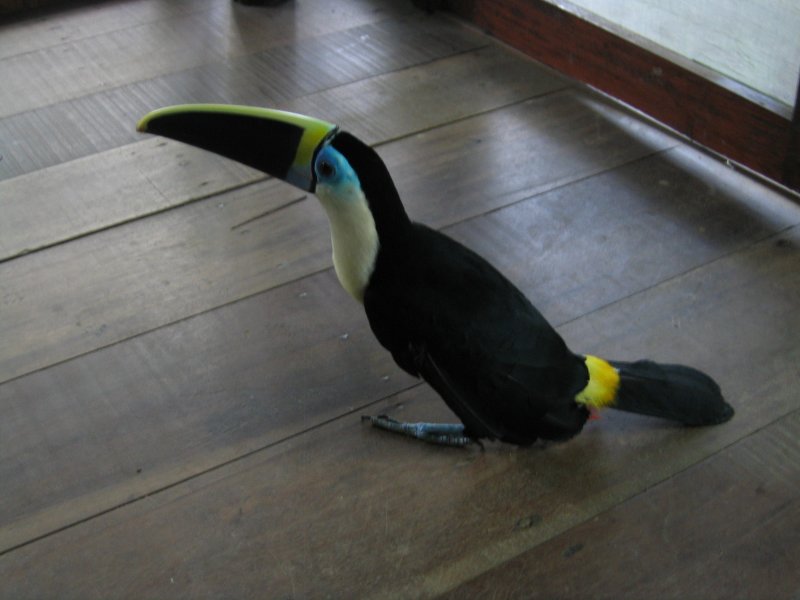 Peru 2005 0371