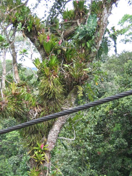Peru 2005 0382