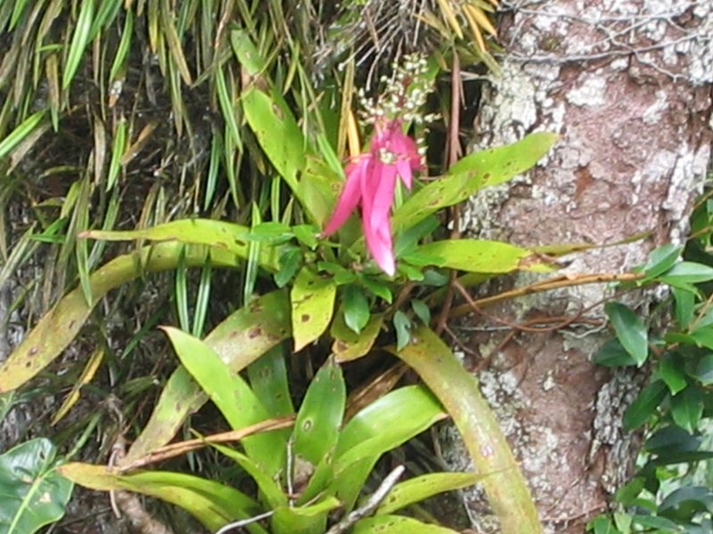 Peru 2005 0383