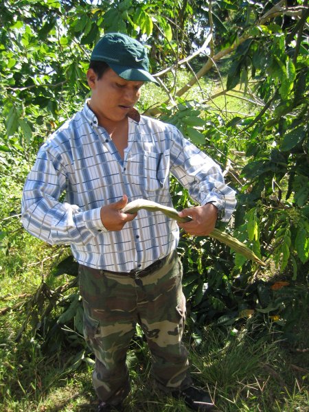 Peru 2005 0405