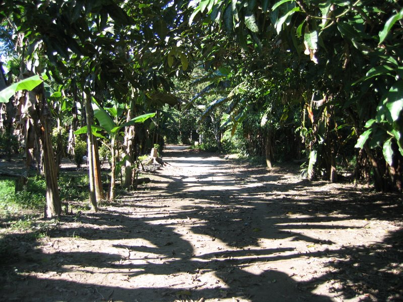 Peru 2005 0407