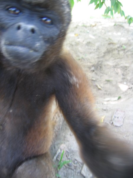 Peru 2005 0468
