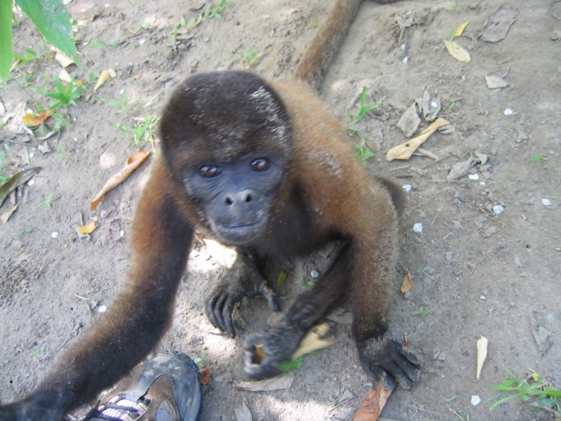 Peru 2005 0469