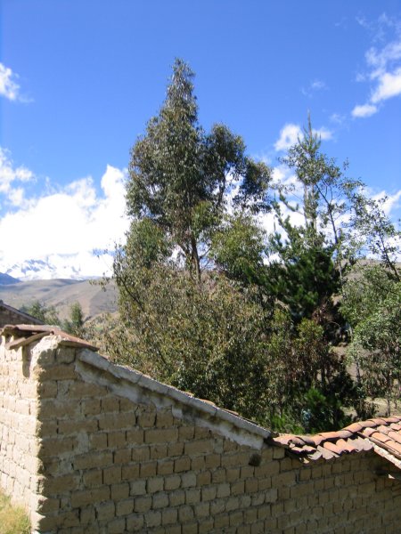 Peru 2005 0552