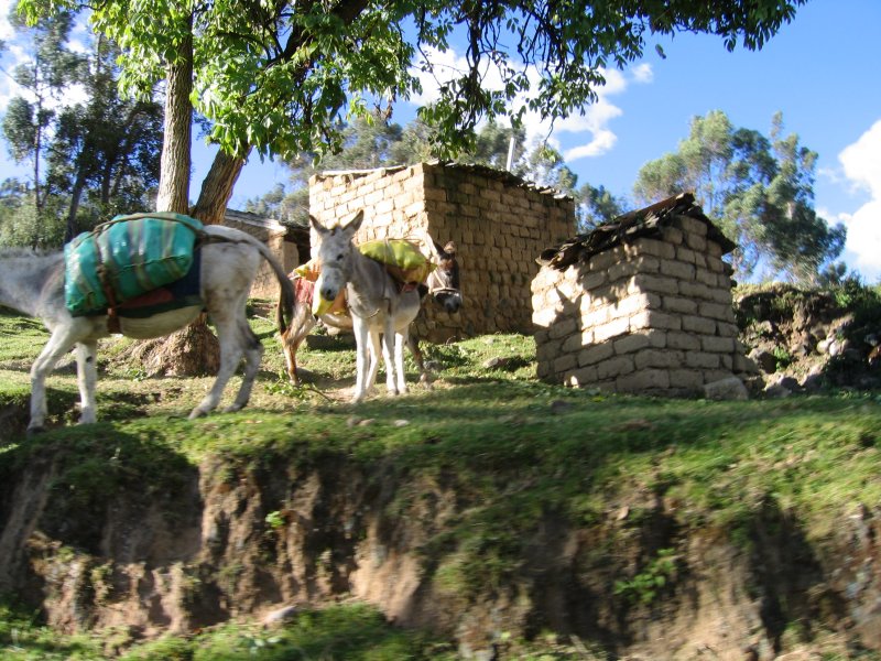 Peru 2005 0575