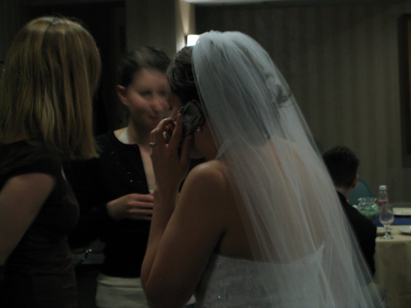 Brad and Elle's Wedding 0168
