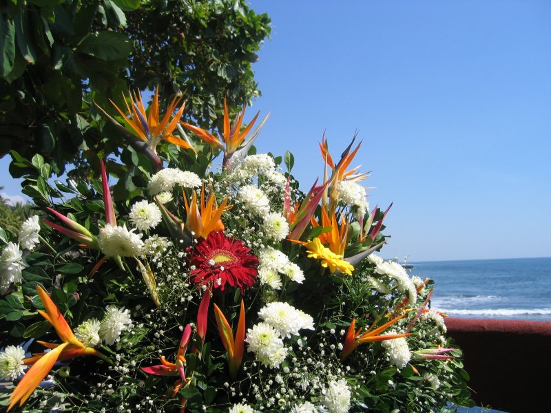 El Salvador 0313