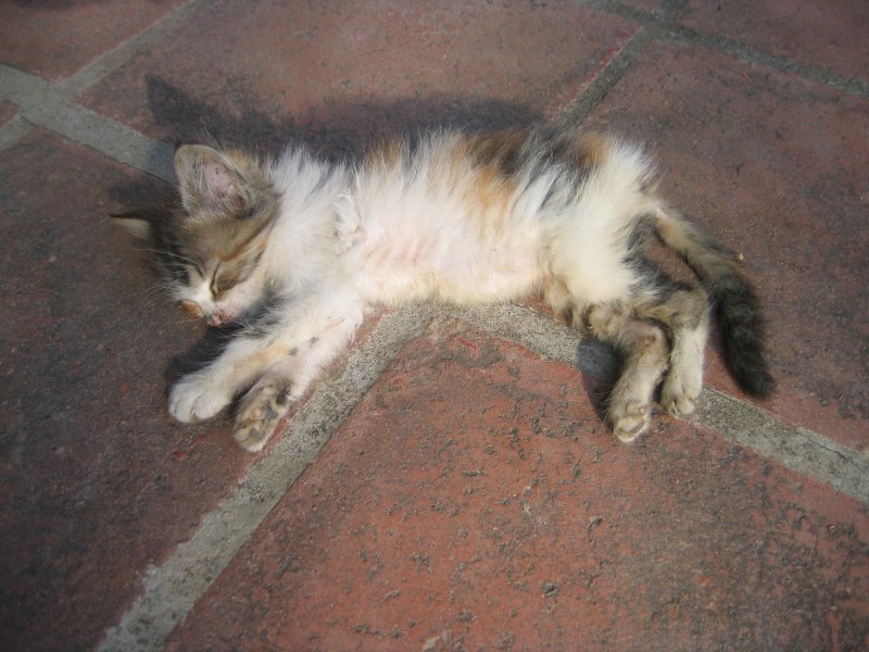 El Salvador 0352