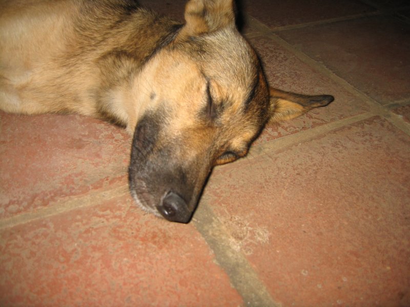 El Salvador 0454