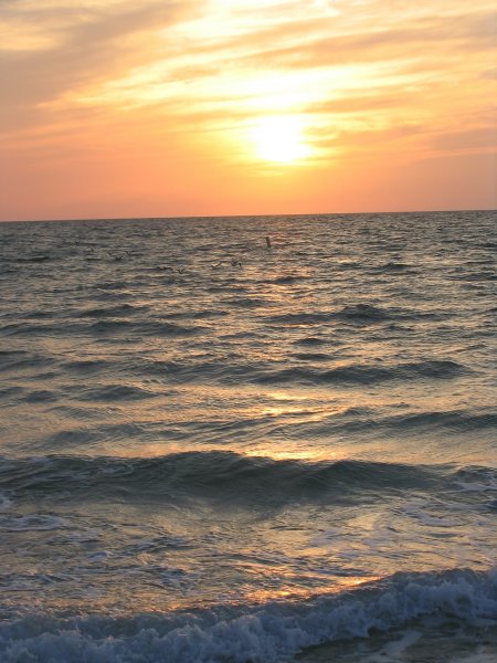 Florida 0202