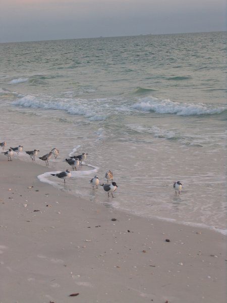 Florida 0205