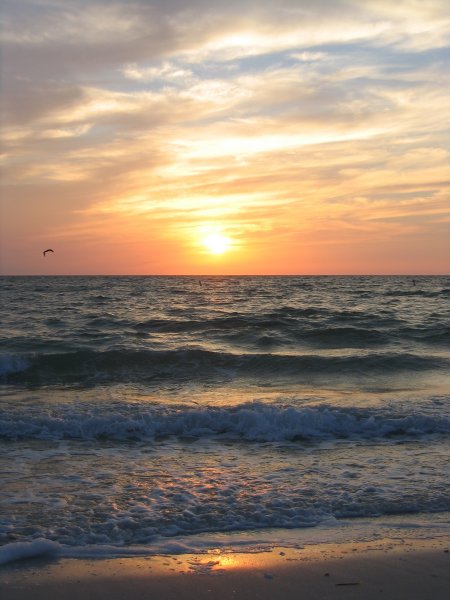 Florida 0206