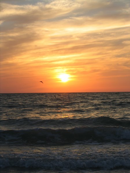 Florida 0207