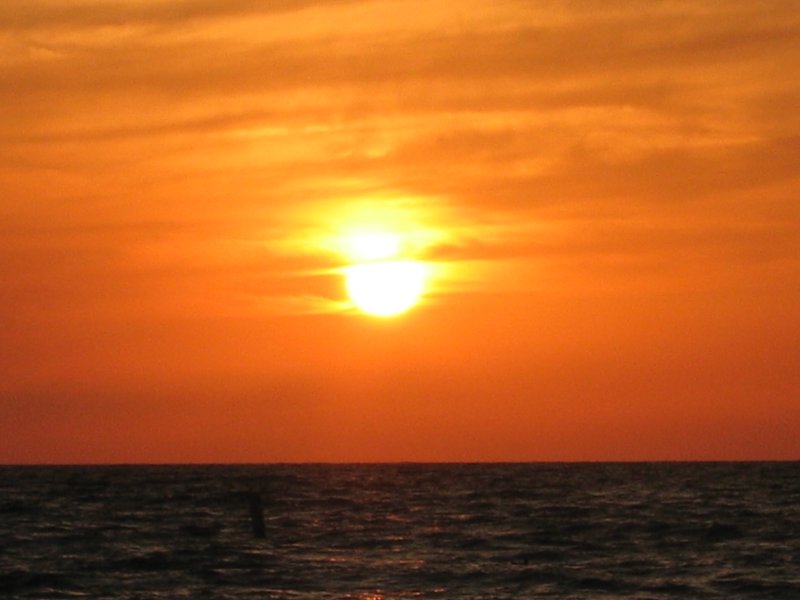 Florida 0209