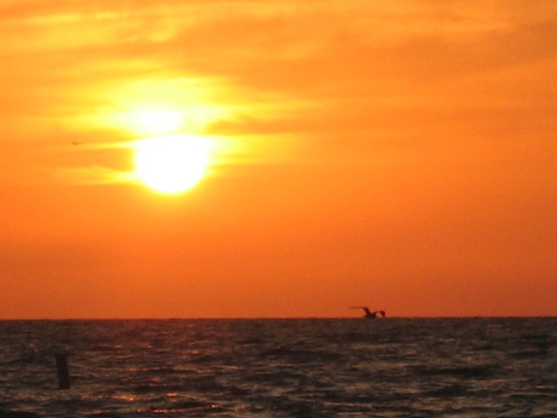 Florida 0211