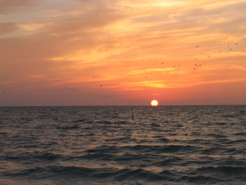 Florida 0232