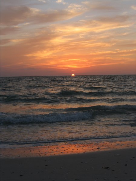 Florida 0233