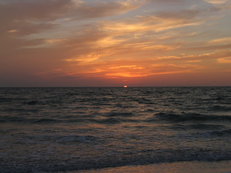 Florida 0235
