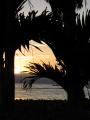 Honeymoon0292
