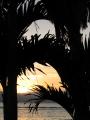 Honeymoon0293