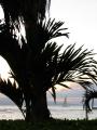 Honeymoon0294