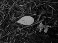 Fall 2003 Camping0109