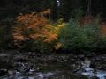 Fall 2003 Camping0111