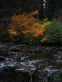 Fall 2003 Camping0112