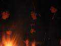 Fall 2003 Camping0120