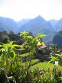 Peru 2005 0269