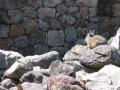 Peru 2005 0281