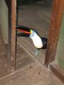 Peru 2005 0370