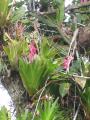 Peru 2005 0384